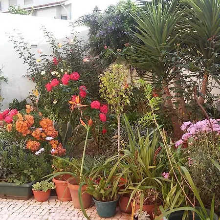 Apartamento Pink House